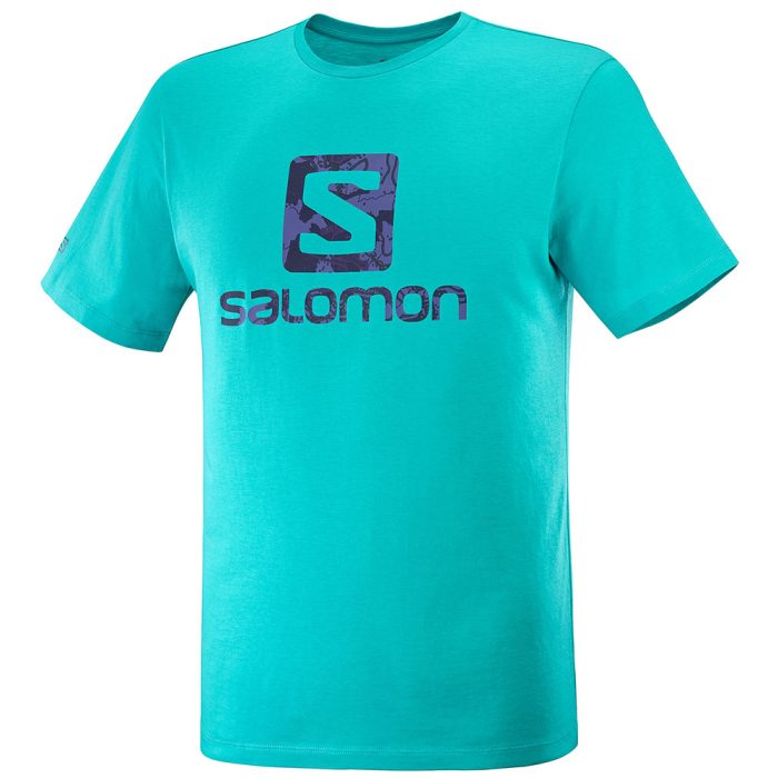 تیشرت مردانه سالامون مدل C16499